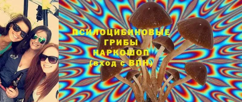 Галлюциногенные грибы Cubensis  mega как зайти  Омск 